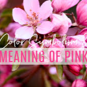 Has Pink always been a girly color?